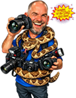 Country Life Photography: Sponsor ads &emdash; 